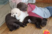 processed/186daa5c-d325-4f1d-ba12-0f6d8b2a705a/facility/6809726f-32e8-43cc-b33c-2b51037e4fd3