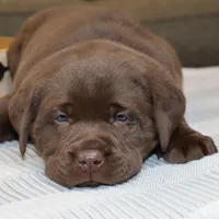 processed/186daa5c-d325-4f1d-ba12-0f6d8b2a705a/facility/823c7db0-99fa-40e1-b8bc-a35e357e68ee