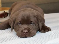 processed/186daa5c-d325-4f1d-ba12-0f6d8b2a705a/facility/823c7db0-99fa-40e1-b8bc-a35e357e68ee