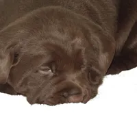 processed/186daa5c-d325-4f1d-ba12-0f6d8b2a705a/facility/d8da031a-69b1-4d65-b6ef-1dc090875e1d