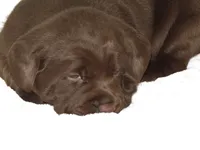 processed/186daa5c-d325-4f1d-ba12-0f6d8b2a705a/facility/d8da031a-69b1-4d65-b6ef-1dc090875e1d