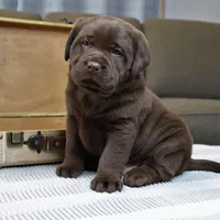 processed/186daa5c-d325-4f1d-ba12-0f6d8b2a705a/facility/dfba3a52-322d-4ab7-8ceb-4afffd6dd851