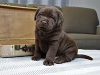 processed/186daa5c-d325-4f1d-ba12-0f6d8b2a705a/facility/dfba3a52-322d-4ab7-8ceb-4afffd6dd851