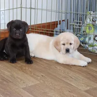 processed/186daa5c-d325-4f1d-ba12-0f6d8b2a705a/facility/f744404e-bcfd-4f61-b3cd-30bf2ca59c35