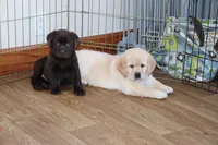 processed/186daa5c-d325-4f1d-ba12-0f6d8b2a705a/facility/f744404e-bcfd-4f61-b3cd-30bf2ca59c35