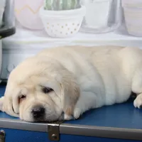 processed/186daa5c-d325-4f1d-ba12-0f6d8b2a705a/facility/fde64109-8fb2-4876-bea2-21d6846fe837