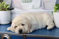 processed/186daa5c-d325-4f1d-ba12-0f6d8b2a705a/facility/fde64109-8fb2-4876-bea2-21d6846fe837