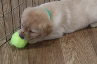 processed/186daa5c-d325-4f1d-ba12-0f6d8b2a705a/listing/1f665a29-d1c7-4fa4-bf65-672b807d9108/153c8a01-e3f3-4dab-901a-5eed224bae7a