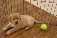 processed/186daa5c-d325-4f1d-ba12-0f6d8b2a705a/listing/1f665a29-d1c7-4fa4-bf65-672b807d9108/b685fa7b-1777-4659-b3f6-62b300e5363f