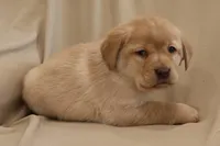 processed/186daa5c-d325-4f1d-ba12-0f6d8b2a705a/listing/1f665a29-d1c7-4fa4-bf65-672b807d9108/bb64d90d-e1de-4cb4-8546-9824ab747ea8