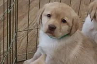 processed/186daa5c-d325-4f1d-ba12-0f6d8b2a705a/listing/1f665a29-d1c7-4fa4-bf65-672b807d9108/faf231d8-4b96-42c5-bd59-d2f72d733a42