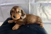 processed/1887f3b7-3cd2-4acc-937a-c199726194bb/listing/80b0c9b8-a3da-4eb8-a524-56ca60a3d195/01c3e907-022f-4564-897c-ca13246f6ff7