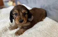 processed/1887f3b7-3cd2-4acc-937a-c199726194bb/listing/80b0c9b8-a3da-4eb8-a524-56ca60a3d195/b6ec50f0-3904-48a8-a4e3-6f5ec415e314