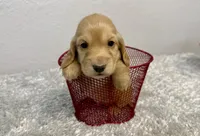 processed/1887f3b7-3cd2-4acc-937a-c199726194bb/listing/a9accee3-163b-4c6e-b2f5-67b1010c11e1/5937cf9a-7c12-42e6-ab4f-828420a8a087