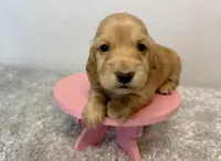 processed/1887f3b7-3cd2-4acc-937a-c199726194bb/listing/a9accee3-163b-4c6e-b2f5-67b1010c11e1/af1aaaaf-7091-4a96-b616-a4adea863d5e