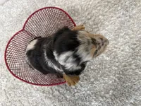 processed/1887f3b7-3cd2-4acc-937a-c199726194bb/listing/b5f53ce8-caf7-4232-af82-47728f5249e9/451c8291-86a8-4264-9645-dfcf6dabdadf