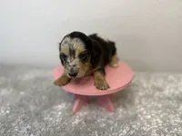 processed/1887f3b7-3cd2-4acc-937a-c199726194bb/listing/b5f53ce8-caf7-4232-af82-47728f5249e9/77455e12-ad1f-4033-9420-7bd17ad15729