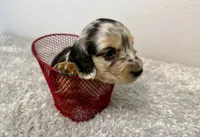 processed/1887f3b7-3cd2-4acc-937a-c199726194bb/listing/b5f53ce8-caf7-4232-af82-47728f5249e9/de38e0a3-ac37-4418-90ee-c2d3e266dd43