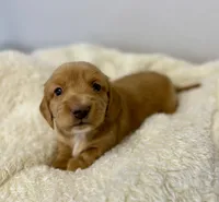 processed/1887f3b7-3cd2-4acc-937a-c199726194bb/listing/cf7f436a-92db-4215-8d54-7008e13dd035/e30c23ff-5171-4ac6-a1f6-8ca5c76bdced