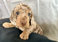 processed/1887f3b7-3cd2-4acc-937a-c199726194bb/listing/ee74a2ec-1b18-4096-94e6-54a54ca721c9/acac9cb4-cbc3-4bbe-96bb-8009c4adfa3b