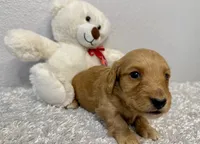 processed/1887f3b7-3cd2-4acc-937a-c199726194bb/listing/fbba3468-4c89-4e23-8e03-4ba1547124e4/6e425f20-b553-4197-a2f6-b2007c095cd4