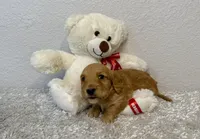 processed/1887f3b7-3cd2-4acc-937a-c199726194bb/listing/fbba3468-4c89-4e23-8e03-4ba1547124e4/f469c2f0-cb0f-45f3-82fd-c5857d84c170