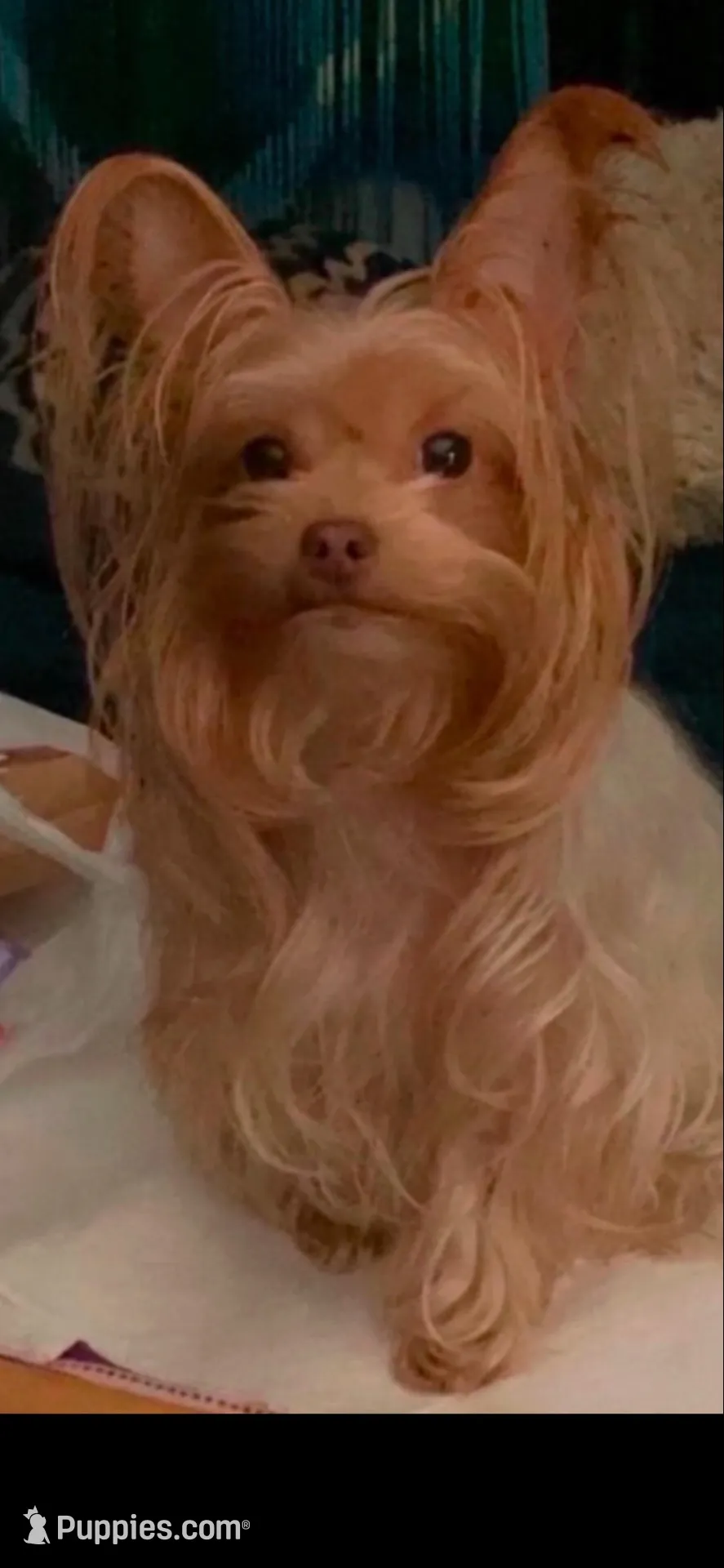 processed/188a005e-d07b-428d-8150-359e3f94e5f6/facility/01d9f4d5-3444-44d2-94c7-c08b564a2109