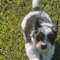 processed/188c3ebf-af20-43bc-8d97-90bed10e2541/facility/36e4354f-fbf9-428a-a8e5-28966c07938f