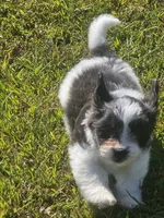 processed/188c3ebf-af20-43bc-8d97-90bed10e2541/facility/36e4354f-fbf9-428a-a8e5-28966c07938f