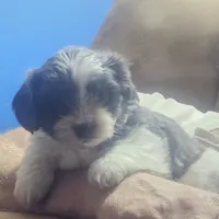 processed/188c3ebf-af20-43bc-8d97-90bed10e2541/facility/51318f45-2e12-4b65-94f0-8b1179821222