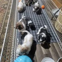 processed/188c3ebf-af20-43bc-8d97-90bed10e2541/facility/61d0e849-01a2-496e-b234-ace40280bcd9