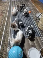 processed/188c3ebf-af20-43bc-8d97-90bed10e2541/facility/61d0e849-01a2-496e-b234-ace40280bcd9