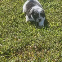 processed/188c3ebf-af20-43bc-8d97-90bed10e2541/facility/a0e347ee-1ddb-4899-869f-9b7cf2e48b06