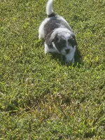 processed/188c3ebf-af20-43bc-8d97-90bed10e2541/facility/a0e347ee-1ddb-4899-869f-9b7cf2e48b06