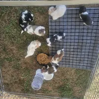 processed/188c3ebf-af20-43bc-8d97-90bed10e2541/facility/d5cb606a-4b30-4a2a-a740-9a0f85232dcb