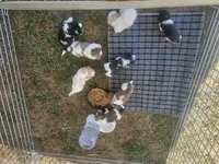 processed/188c3ebf-af20-43bc-8d97-90bed10e2541/facility/d5cb606a-4b30-4a2a-a740-9a0f85232dcb