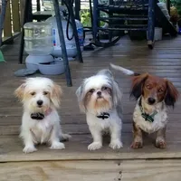 processed/188c3ebf-af20-43bc-8d97-90bed10e2541/facility/e8fef685-41fb-44b6-8603-a645f7f407e1