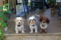 processed/188c3ebf-af20-43bc-8d97-90bed10e2541/facility/e8fef685-41fb-44b6-8603-a645f7f407e1