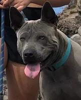 processed/188f58e6-d1f0-49ae-bdec-7b24074a1330/facility/05a0e685-5121-41dd-9cd0-b7da623c6614