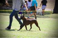 processed/188f58e6-d1f0-49ae-bdec-7b24074a1330/facility/34b75221-3520-497d-8c8c-253cea75d76e