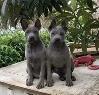 processed/188f58e6-d1f0-49ae-bdec-7b24074a1330/facility/4629e78b-3c8c-4abb-aabb-3a0b540b2866