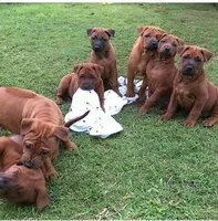 processed/188f58e6-d1f0-49ae-bdec-7b24074a1330/facility/78e6388d-8960-4fd4-a063-487cc23d6ba9