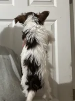 processed/18948b4b-828b-4072-bde4-8beeb6fefe4d/listing/1d53659e-f5f9-4838-82d5-5e08179e5aa6/55a648da-fef2-4496-b9bd-66fda36818bb