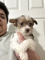 processed/18948b4b-828b-4072-bde4-8beeb6fefe4d/listing/1d53659e-f5f9-4838-82d5-5e08179e5aa6/5cbcfdf9-790c-4cdb-b961-97a623a673cb