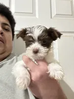 processed/18948b4b-828b-4072-bde4-8beeb6fefe4d/listing/c90b668f-aa2c-4f9a-bb8f-847e184aa58f/039b31f7-3a4c-4563-aa32-bc15fdea1bd1