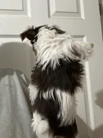 processed/18948b4b-828b-4072-bde4-8beeb6fefe4d/listing/c90b668f-aa2c-4f9a-bb8f-847e184aa58f/5cac4b2b-6050-4868-a592-8c59edc2617b