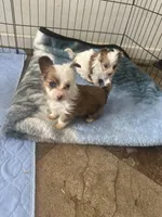 processed/18948b4b-828b-4072-bde4-8beeb6fefe4d/listing/fd30f855-2ca6-4f12-89d0-71003d36123a/0f6ded13-aaa8-4f0e-a819-cc90185ba348