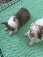 processed/18948b4b-828b-4072-bde4-8beeb6fefe4d/listing/fd30f855-2ca6-4f12-89d0-71003d36123a/53a16128-96eb-4713-9361-f6afb6f04d64