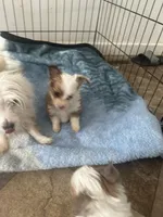 processed/18948b4b-828b-4072-bde4-8beeb6fefe4d/listing/fd30f855-2ca6-4f12-89d0-71003d36123a/e8b29e11-77c8-42ef-aa08-7b1b4beb7d91