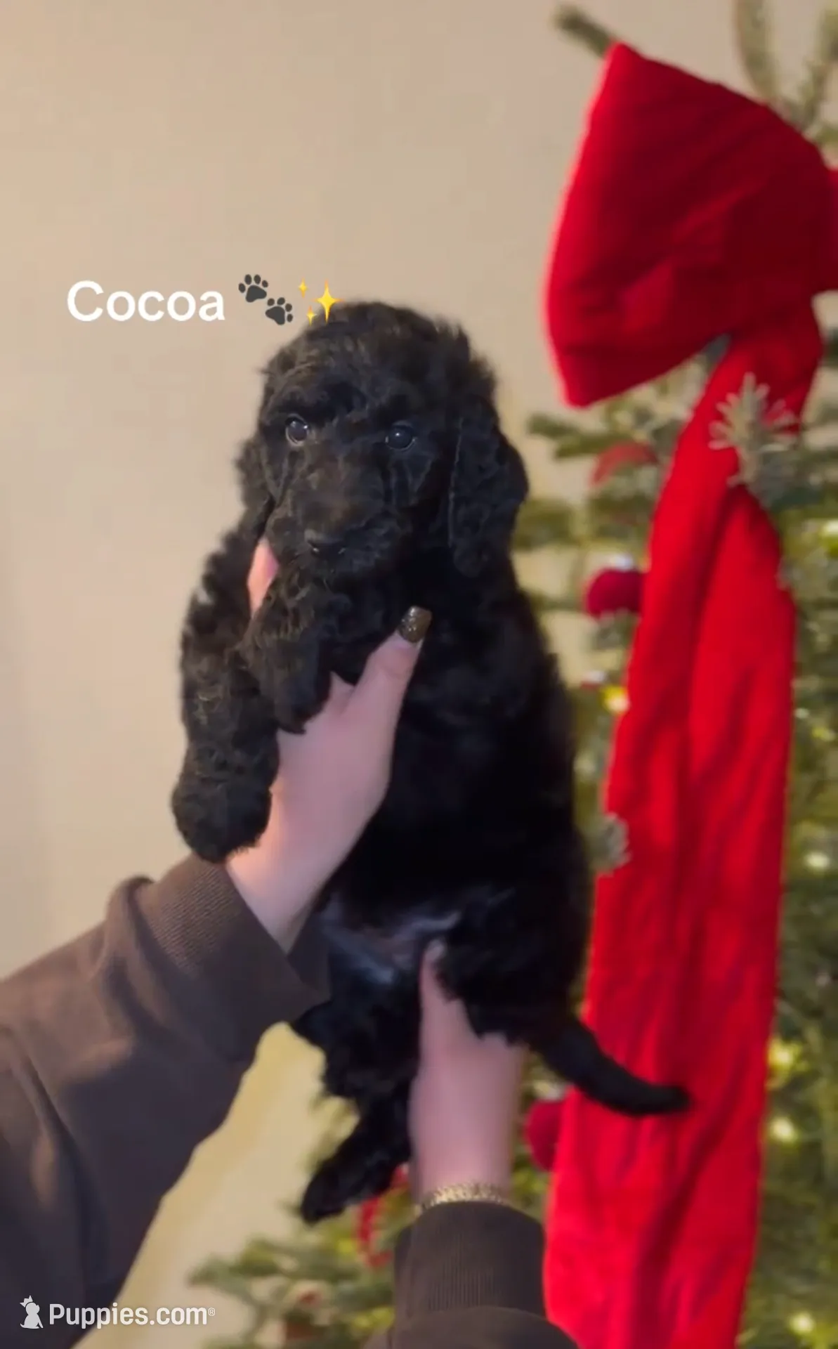 processed/18a09e06-8ae6-43b0-96bd-1b81913e7ff1/listing/be028818-9431-4dc9-b1a5-b448fc91053f/7c225f29-7413-48ca-8999-9a68774e8e98